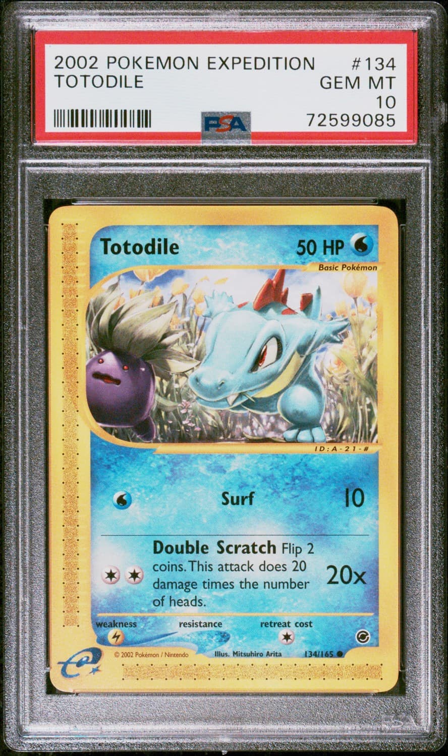 Totodile