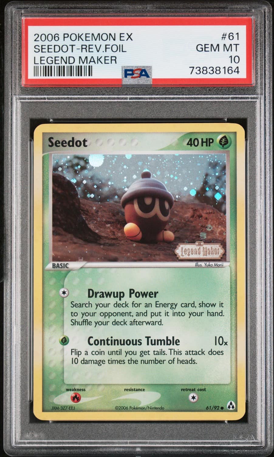 Seedot