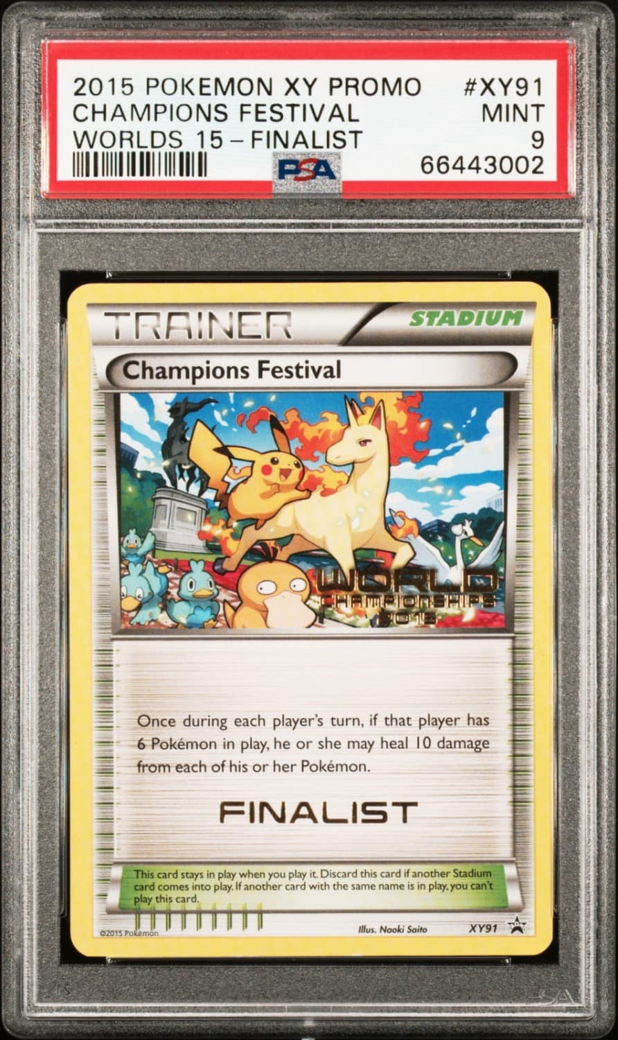 Champions Festival
