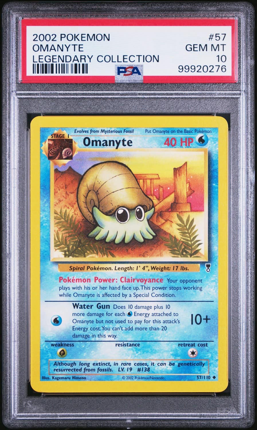 Omanyte