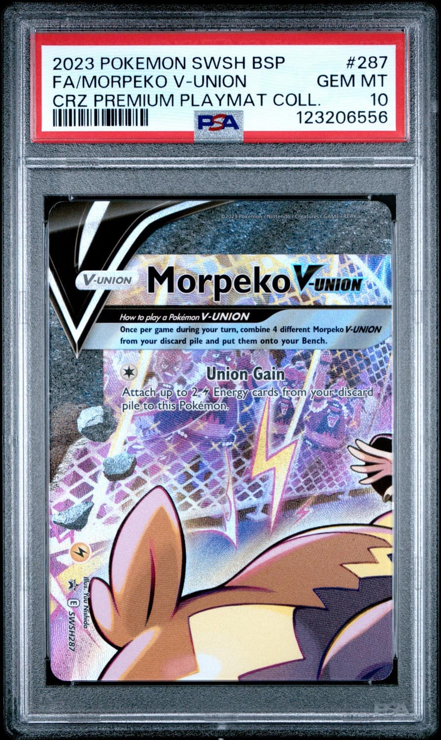 Morpeko V-Union