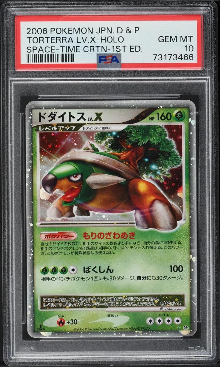 Torterra Lv X