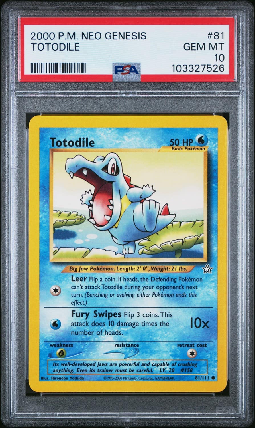 Totodile
