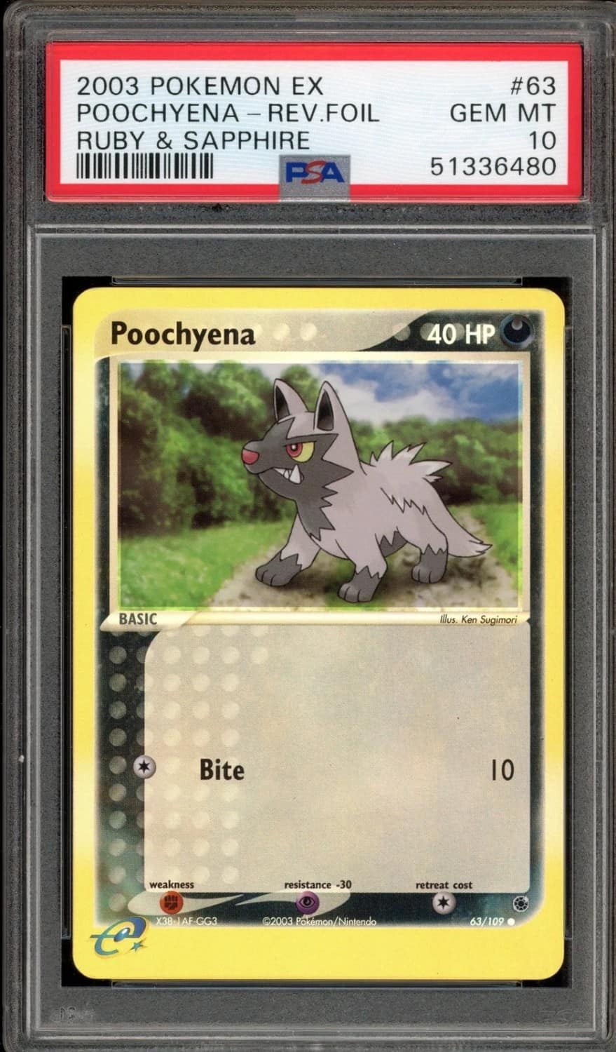Poochyena