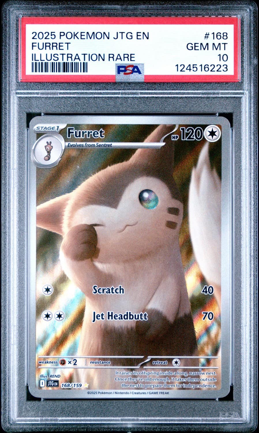 Furret