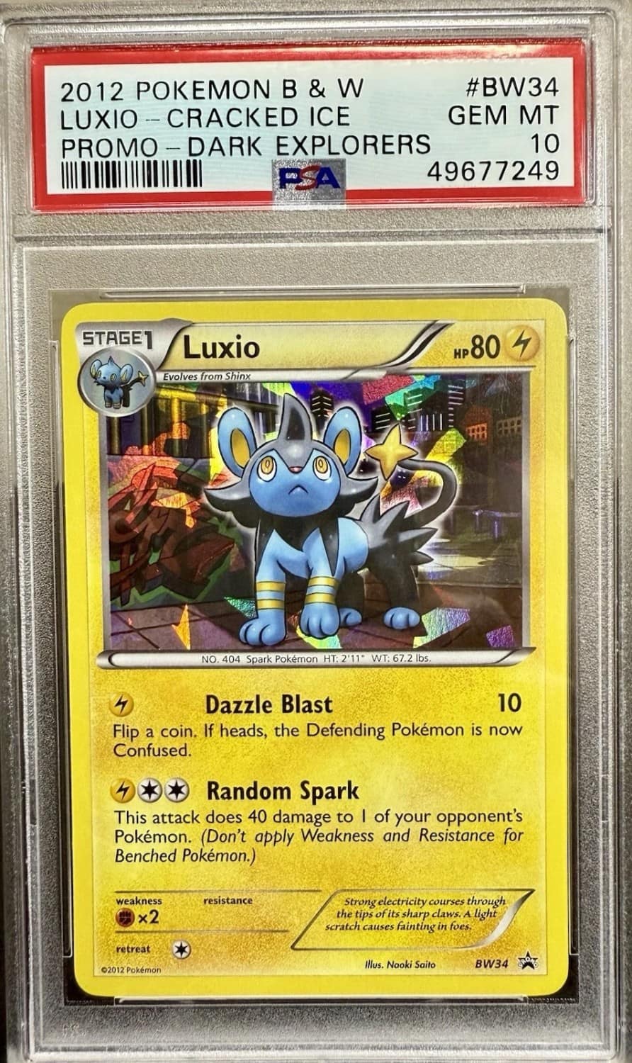Luxio-Cracked Ice