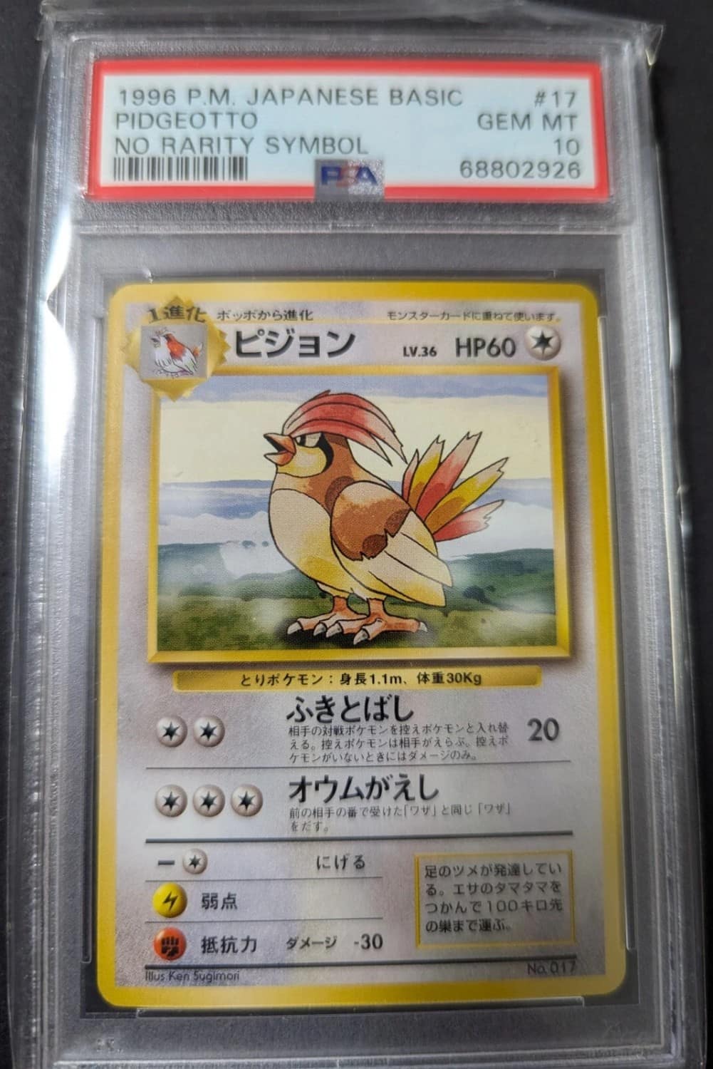Pidgeotto