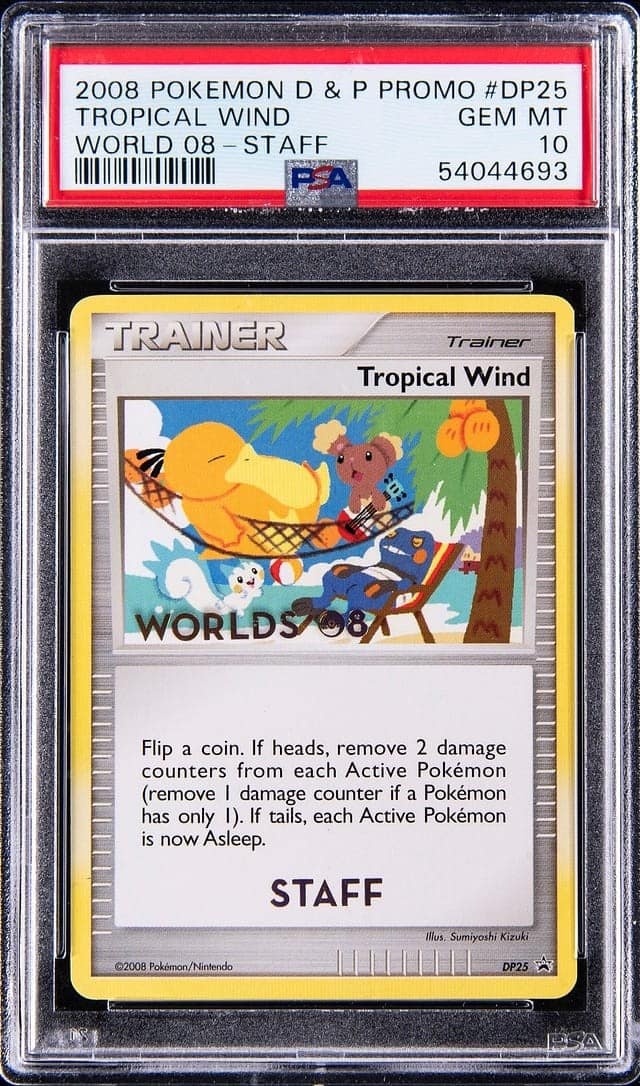 Tropical Wind