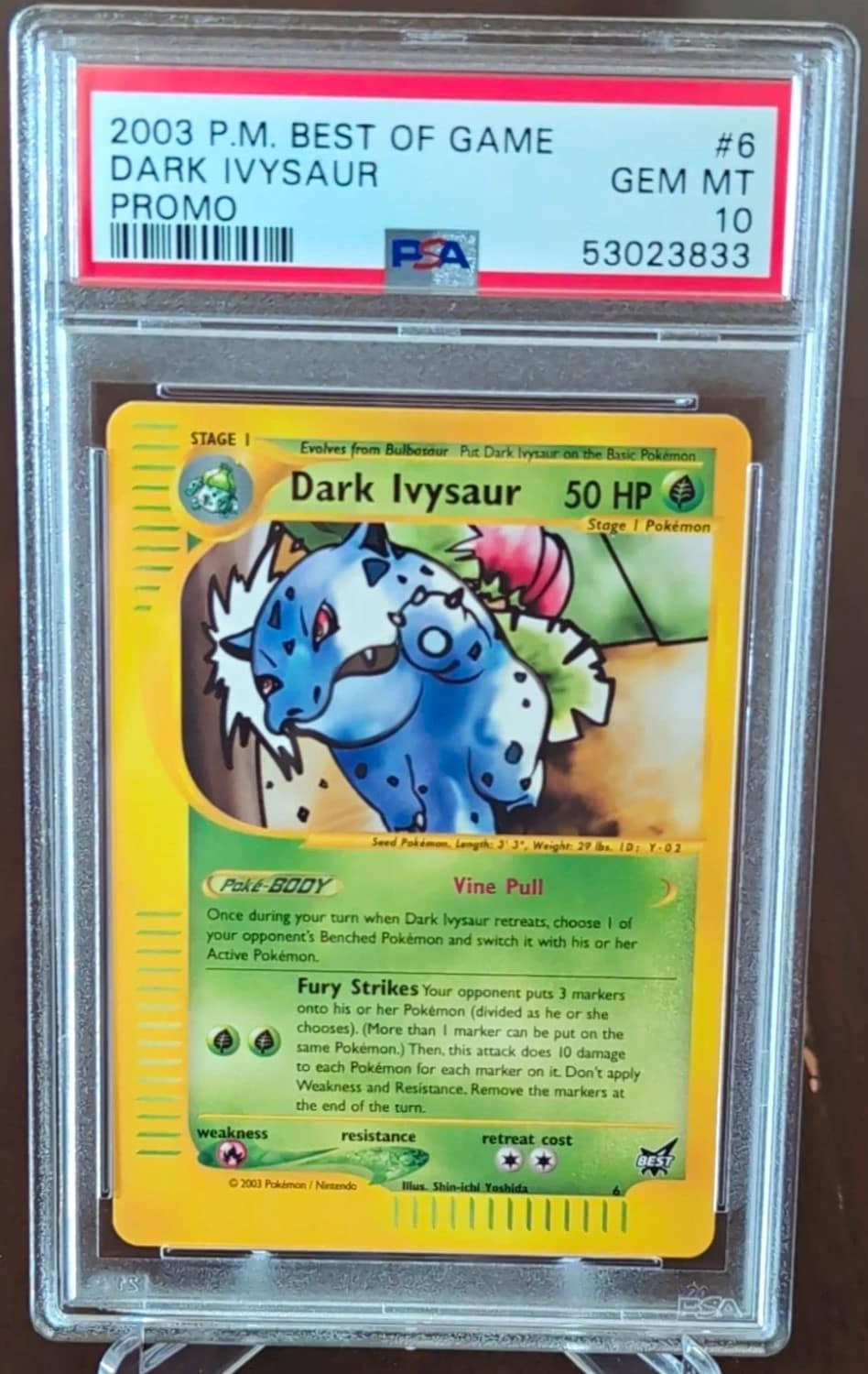Dark Ivysaur