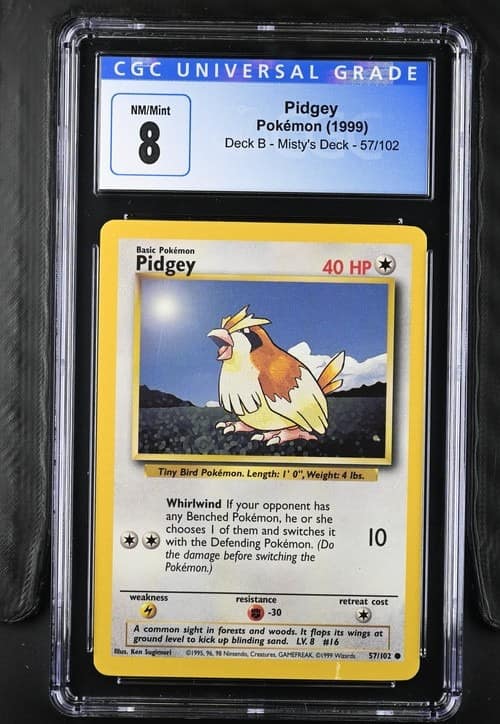 Pidgey