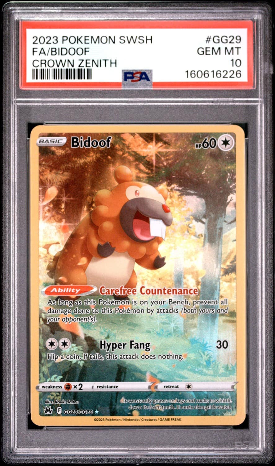 Bidoof