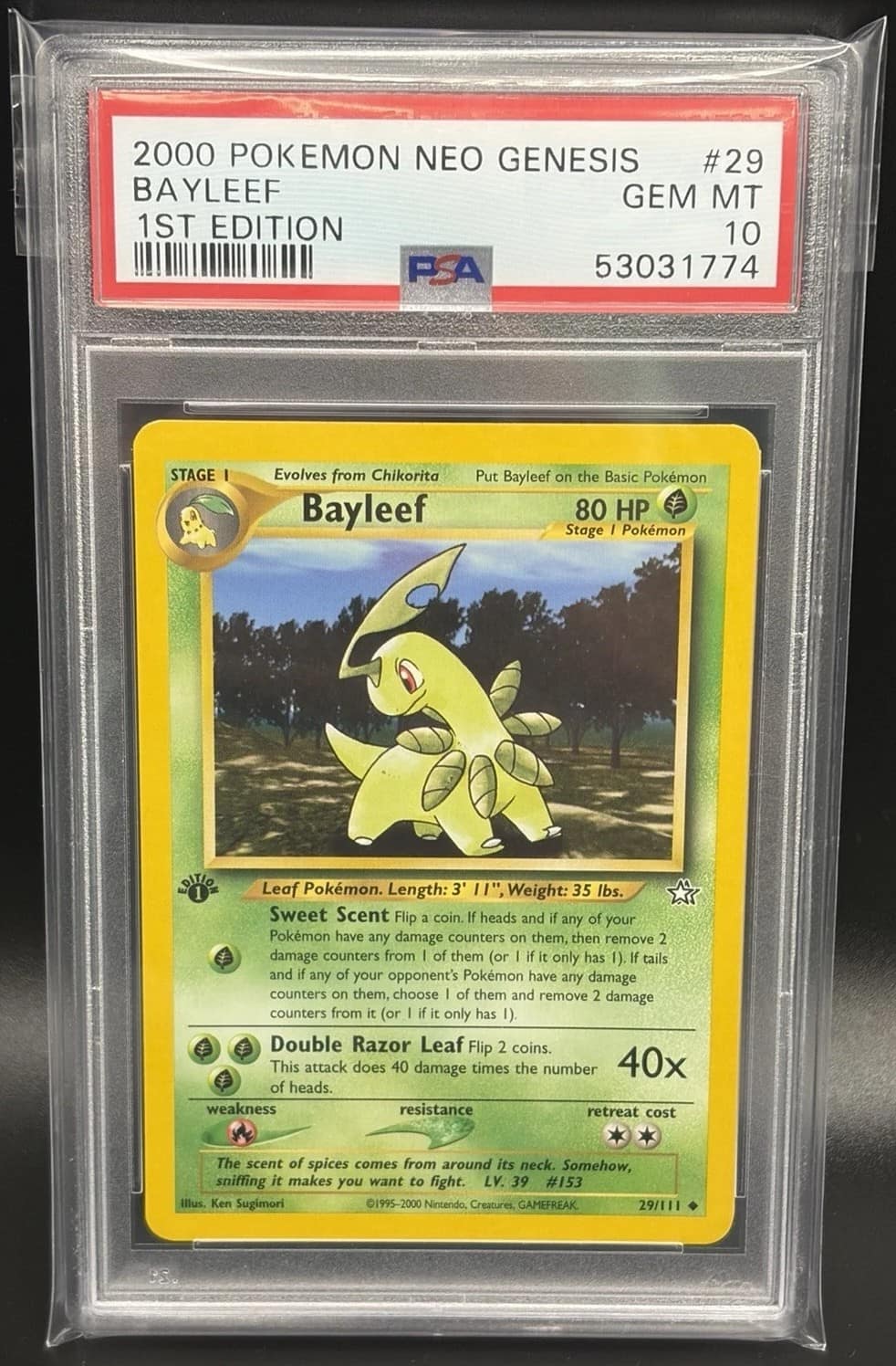 Bayleef