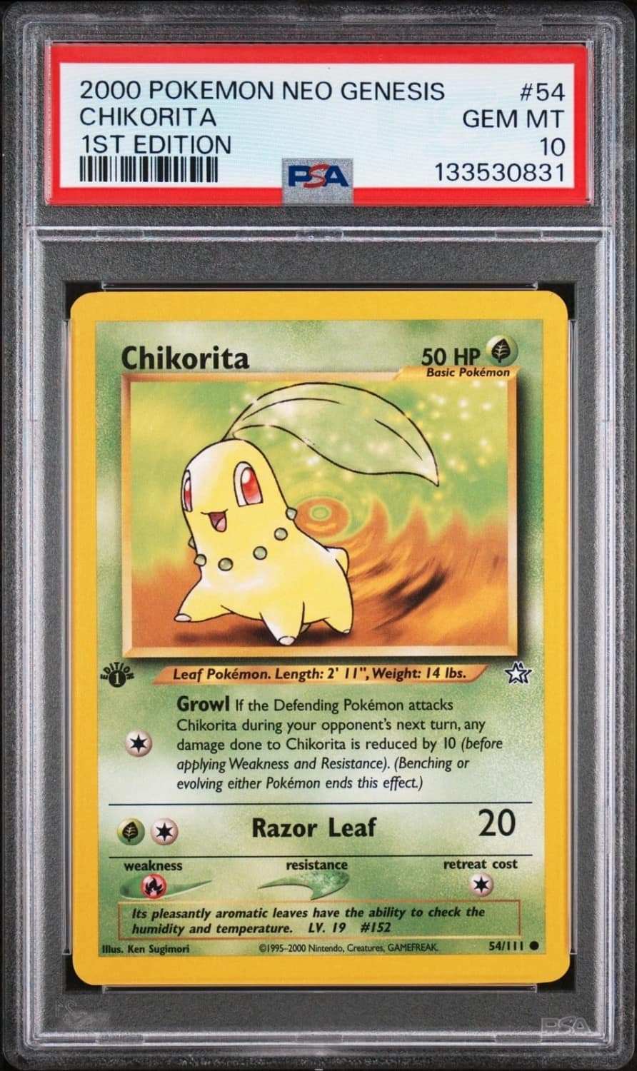 Chikorita
