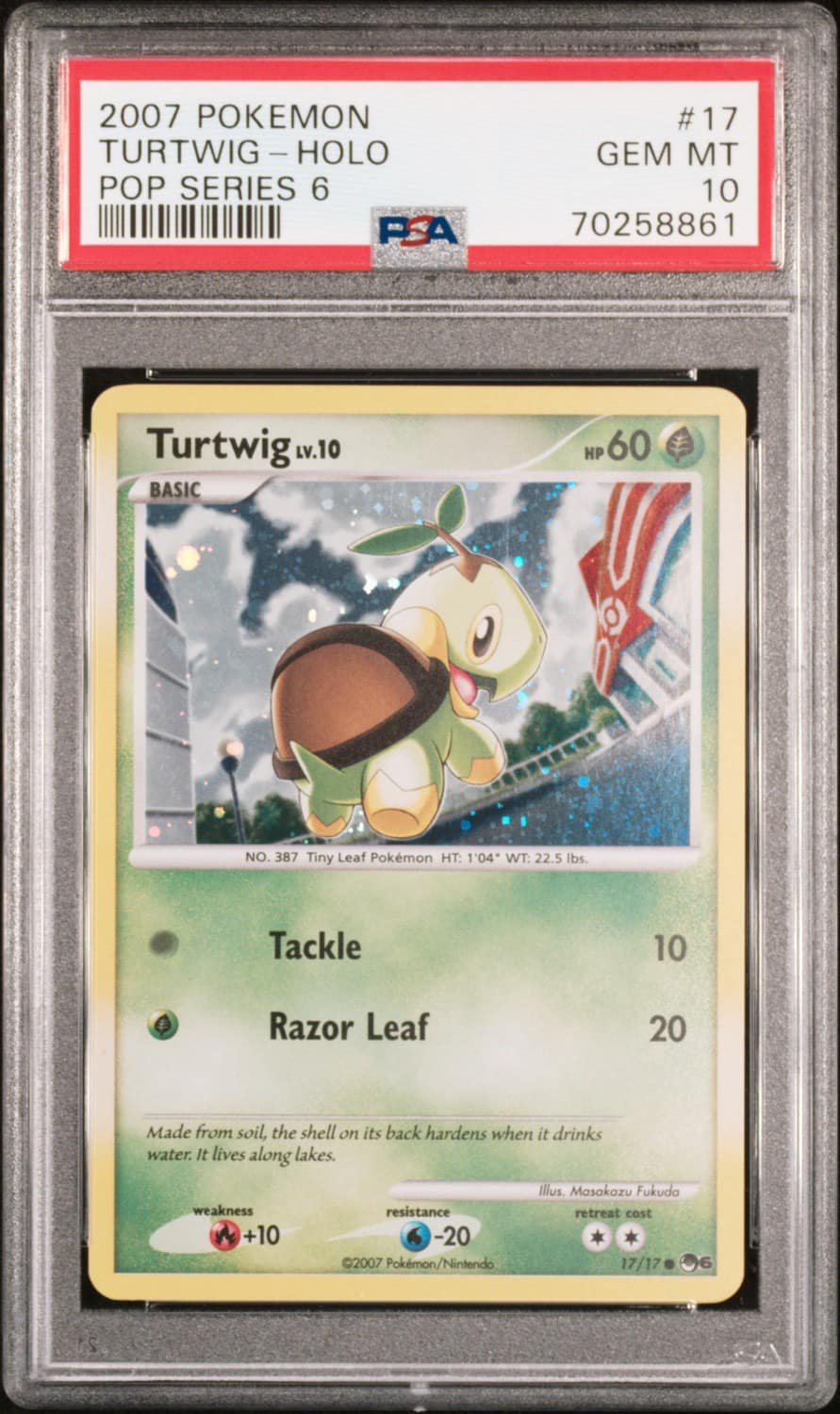 Turtwig