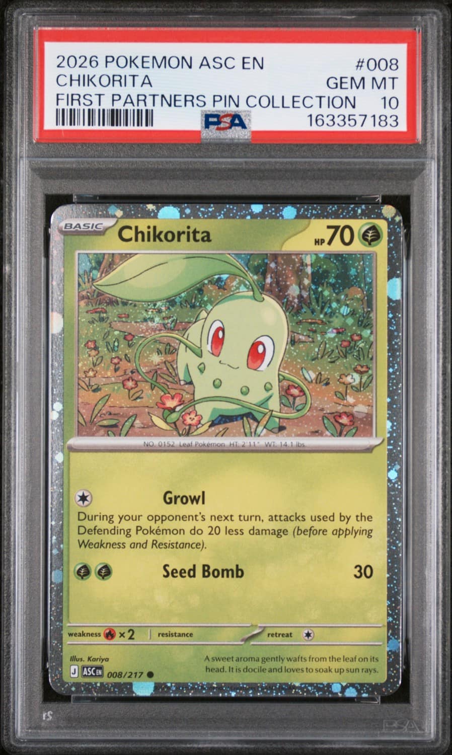 Chikorita