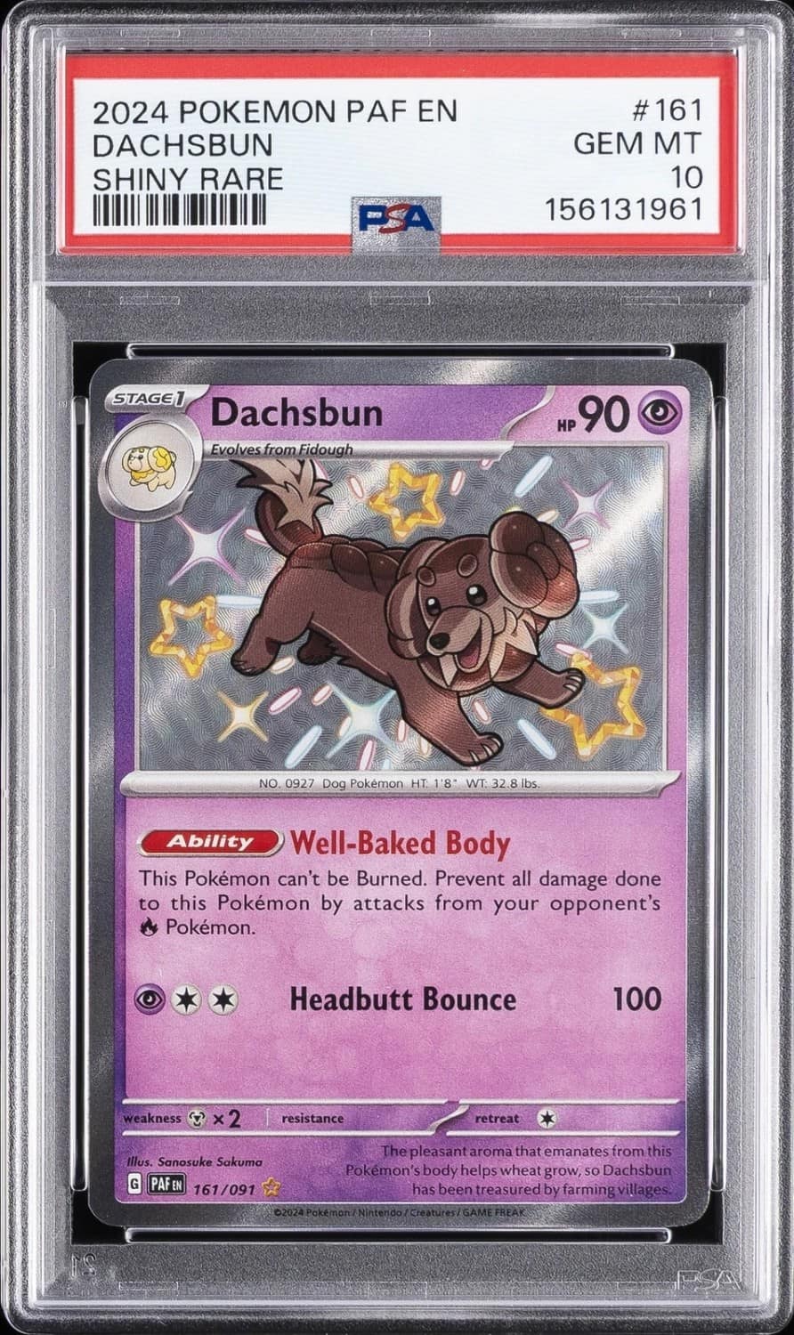Dachsbun