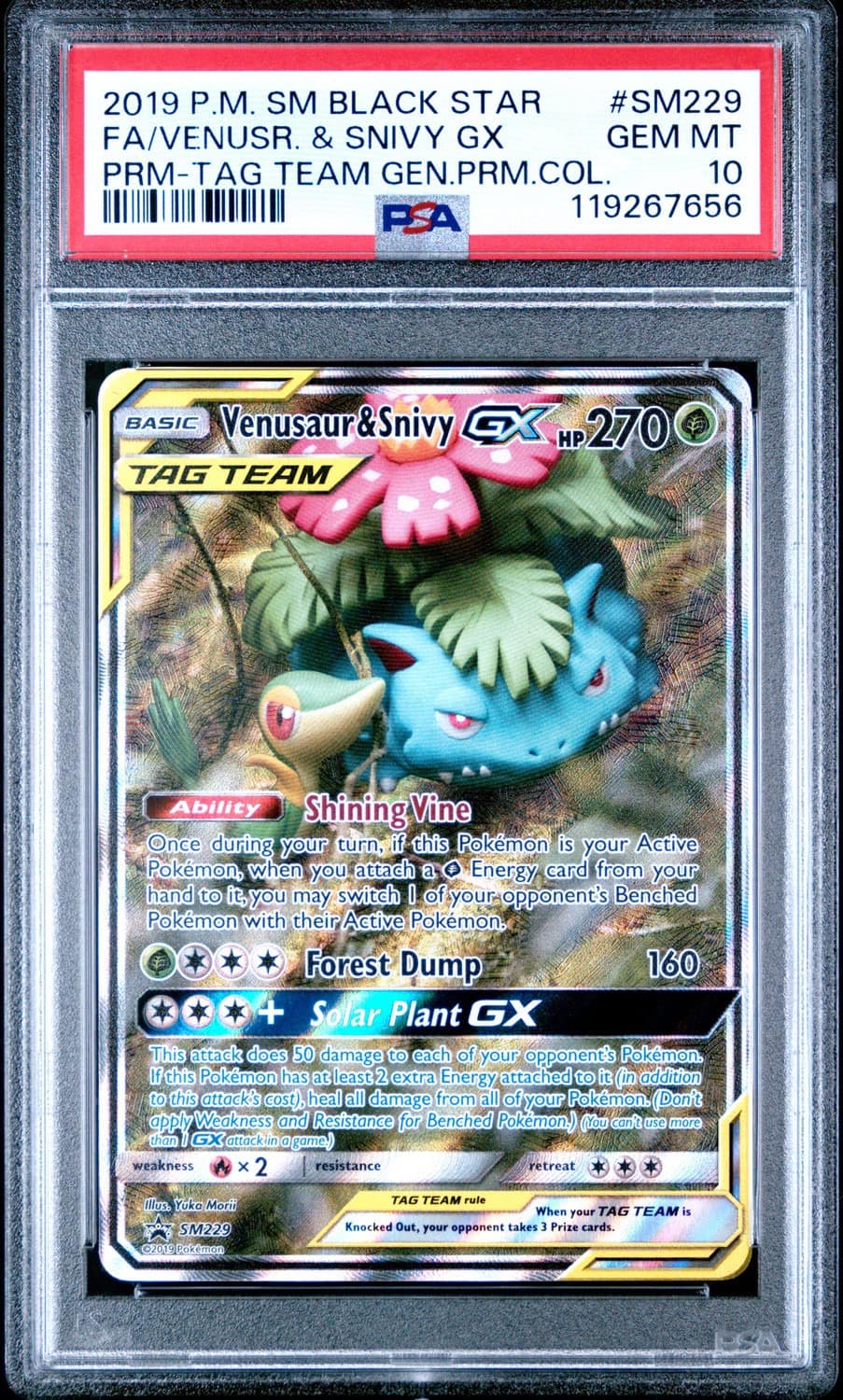 Venusaur & Snivy Gx