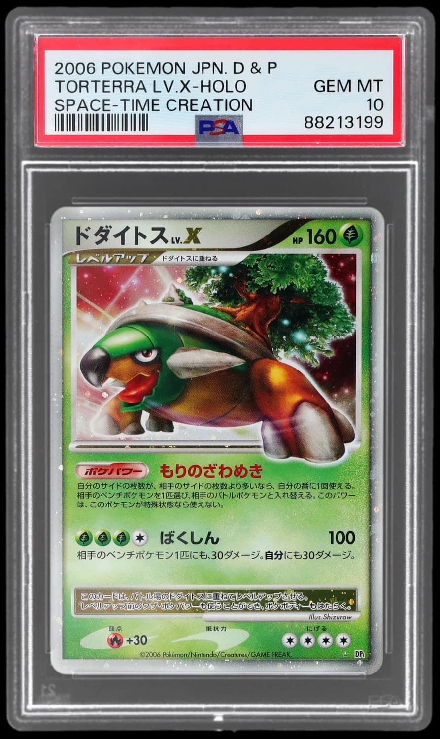 Torterra Lv X