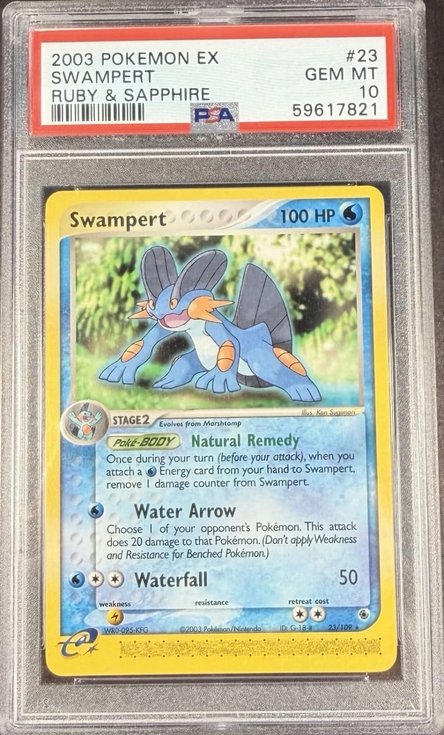 Swampert