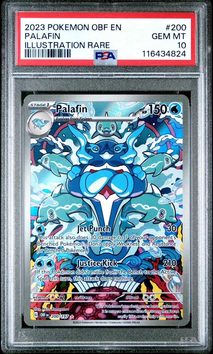 Palafin