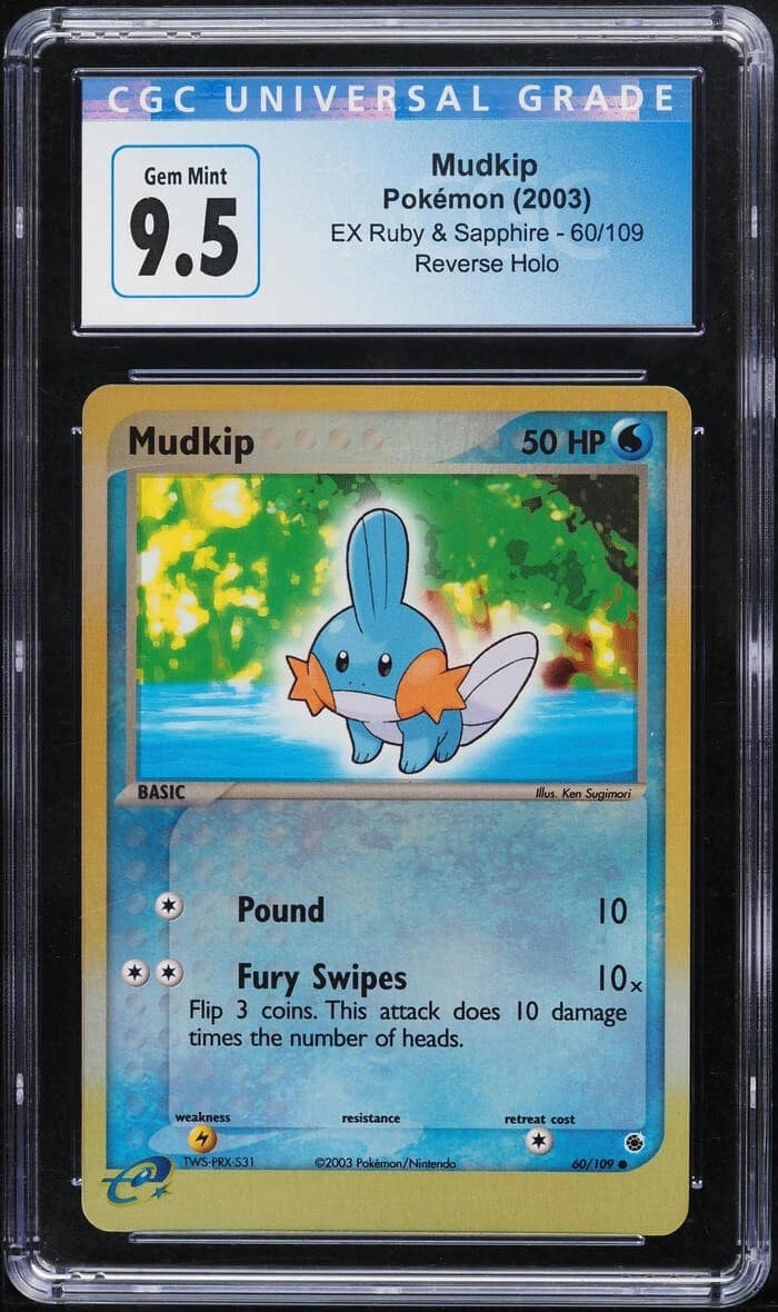 Mudkip