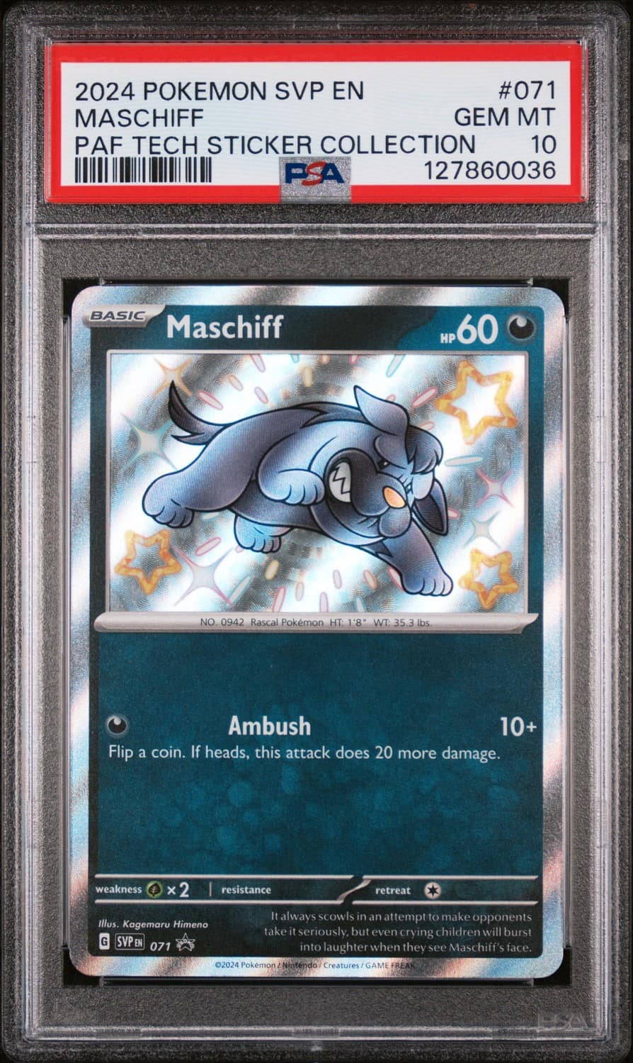 Maschiff