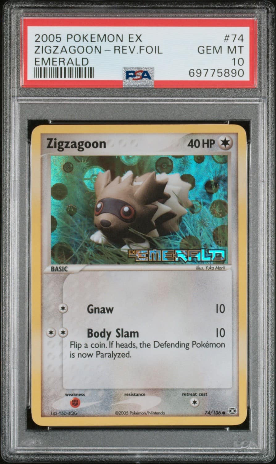 Zigzagoon