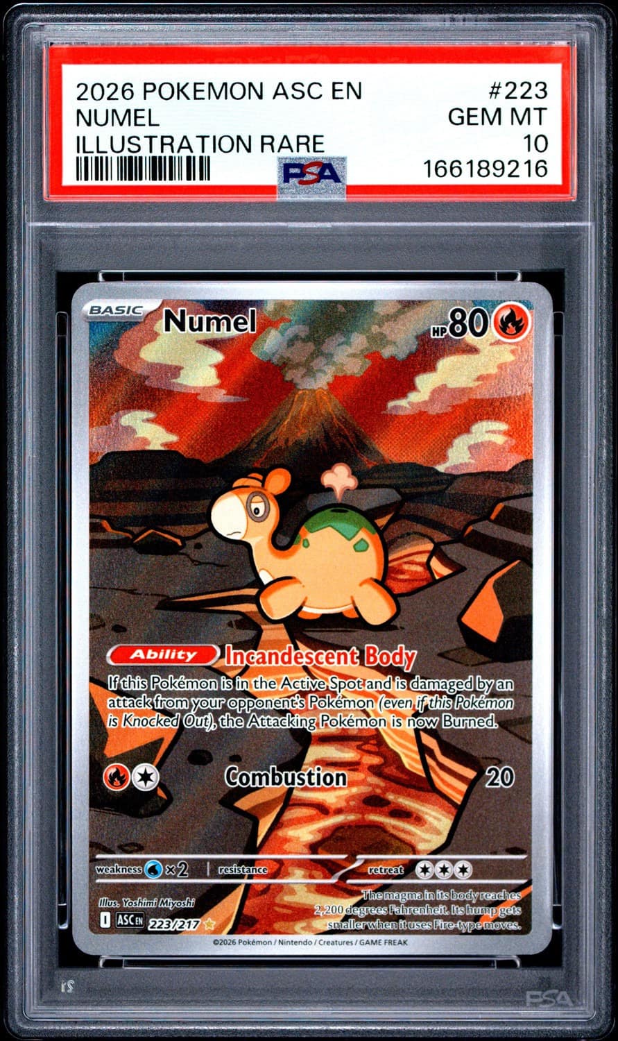 Numel