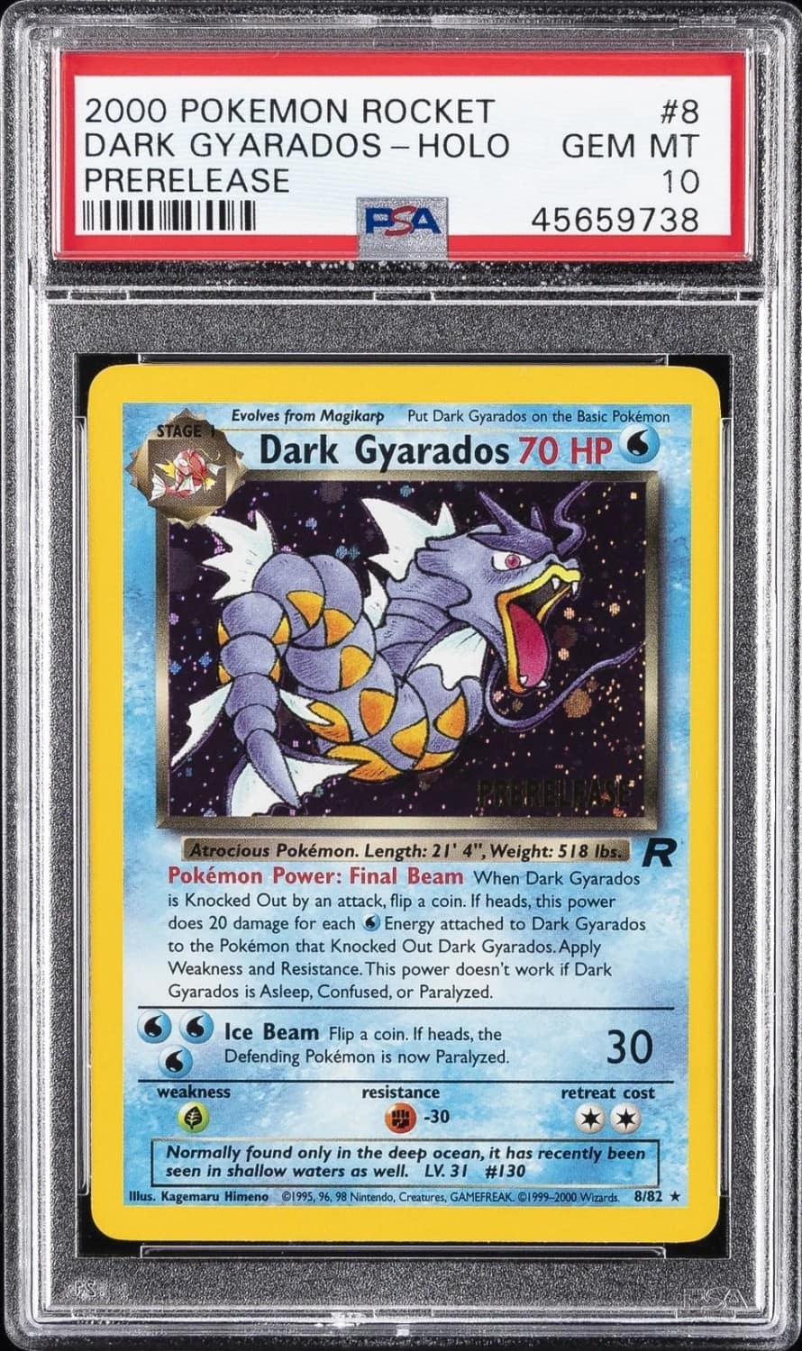 Dark Gyarados