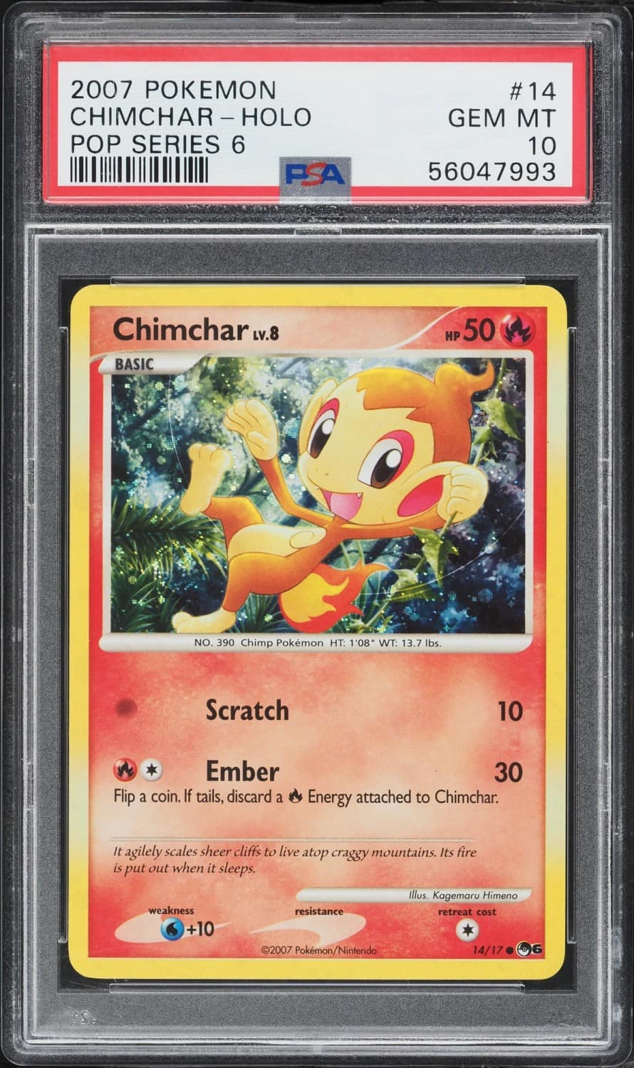 Chimchar