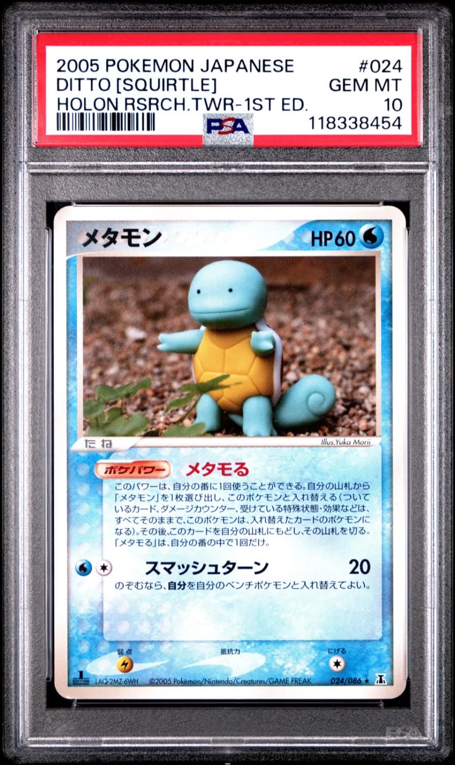 Ditto [squirtle]