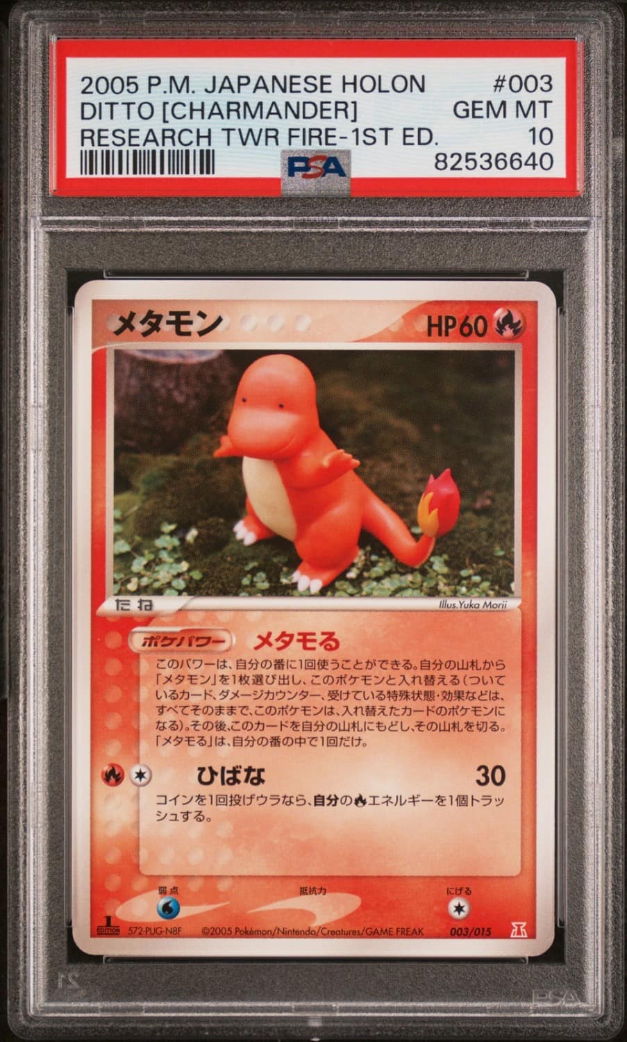 Ditto [charmander]