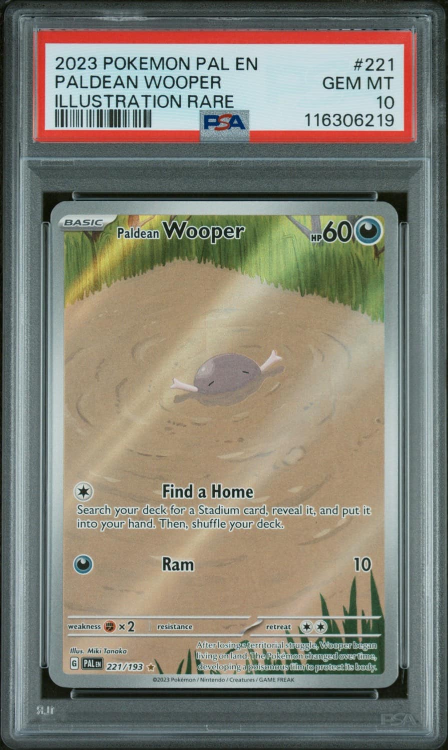 Paldean Wooper