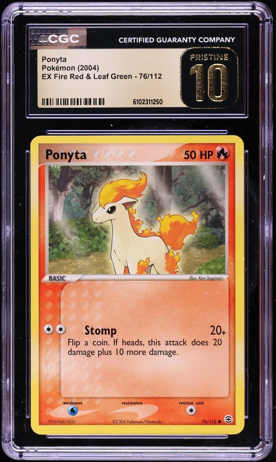 Ponyta