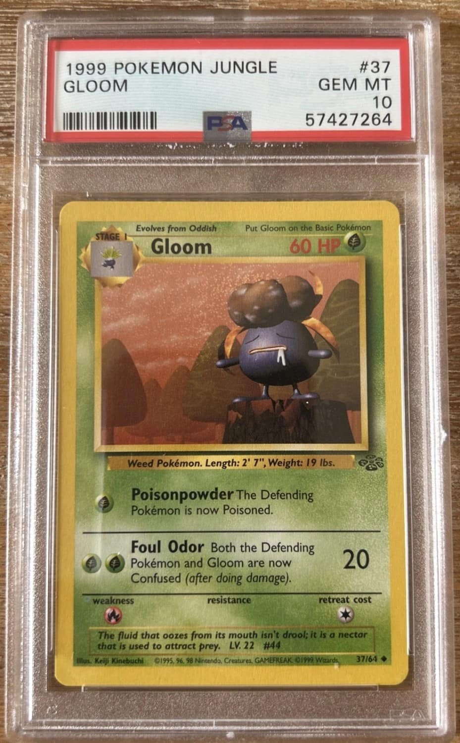 Gloom