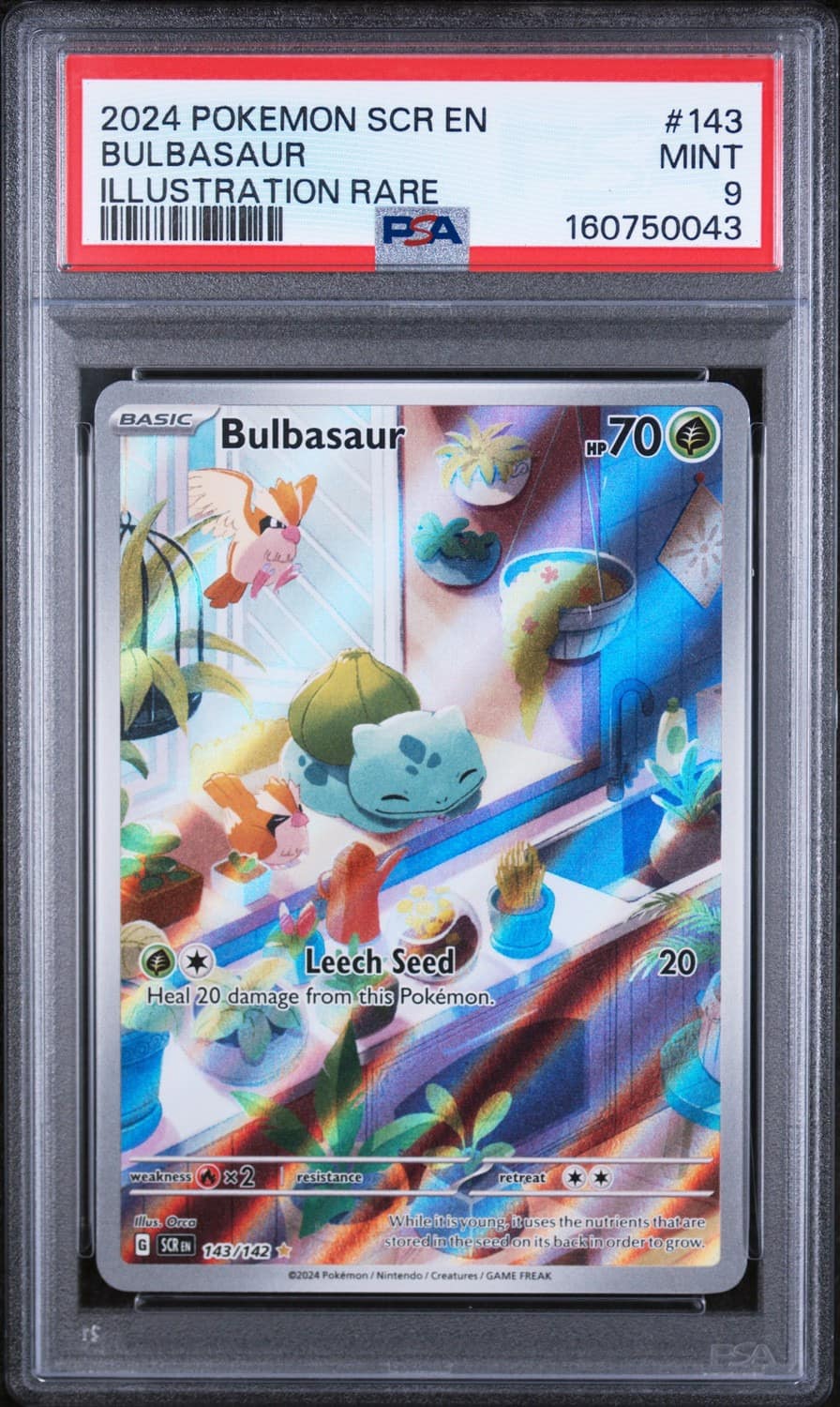 Bulbasaur