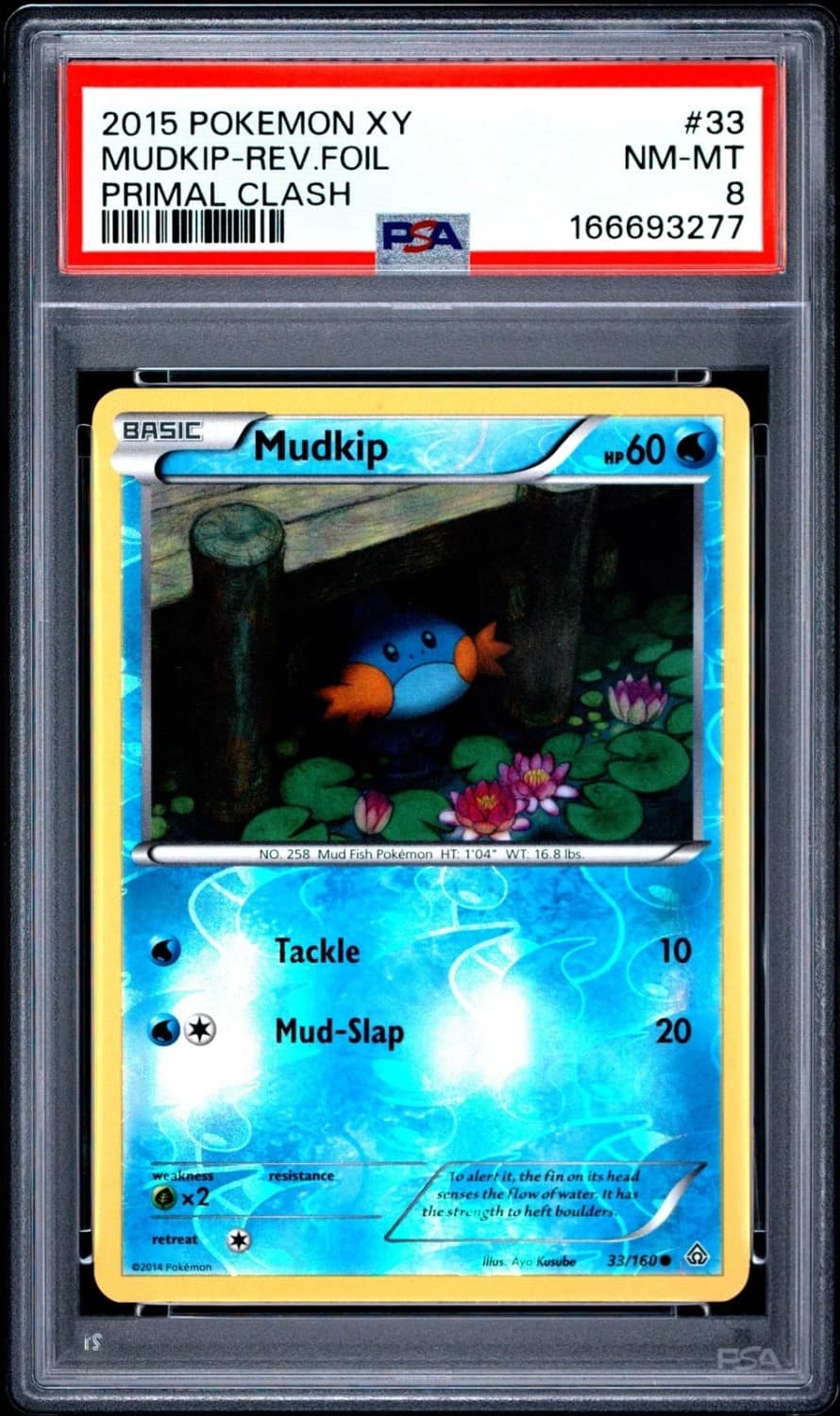 Mudkip