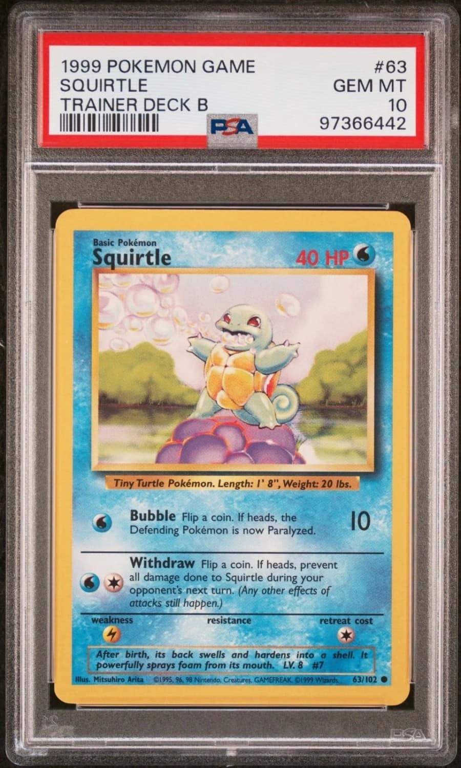 Squirtle