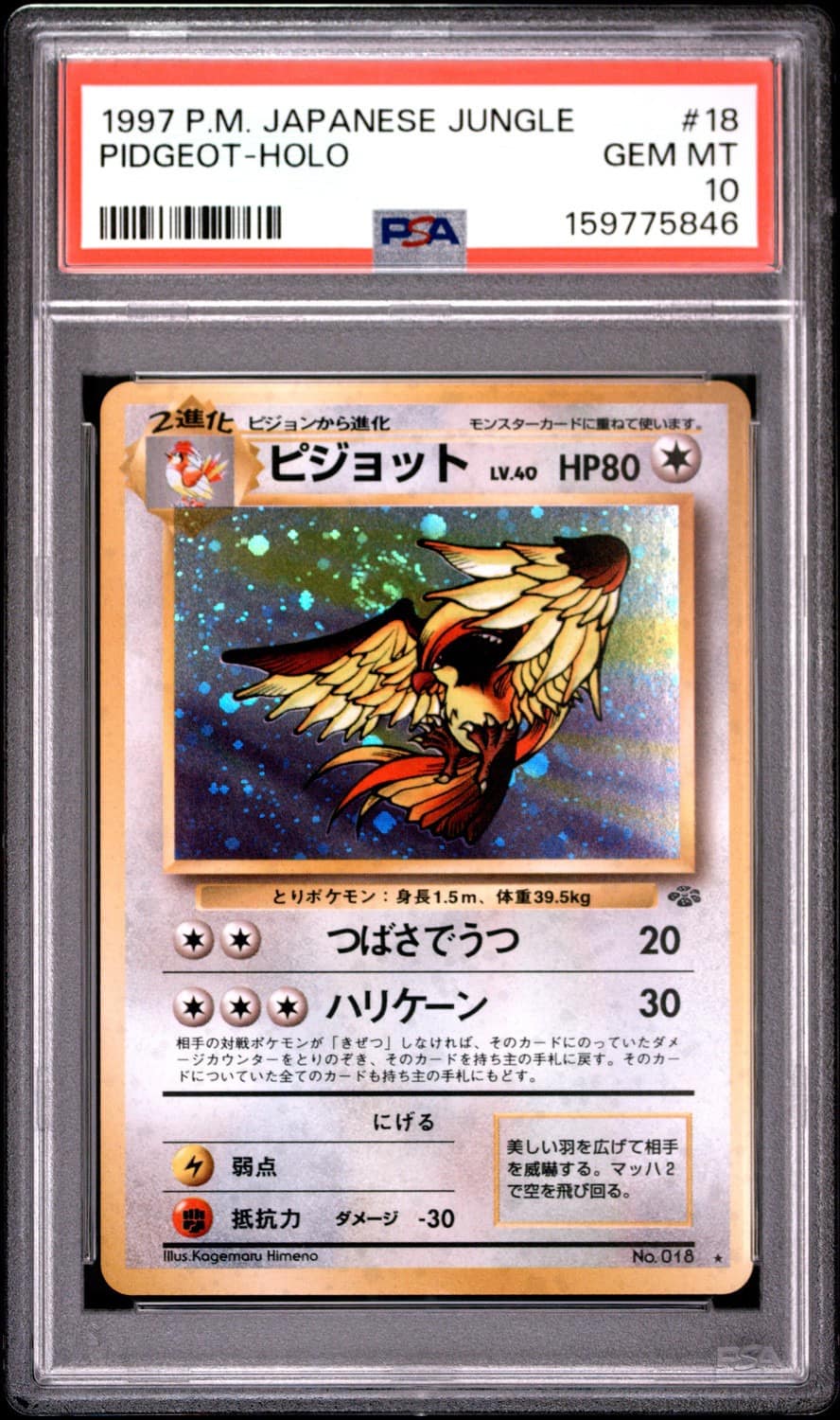 Pidgeot