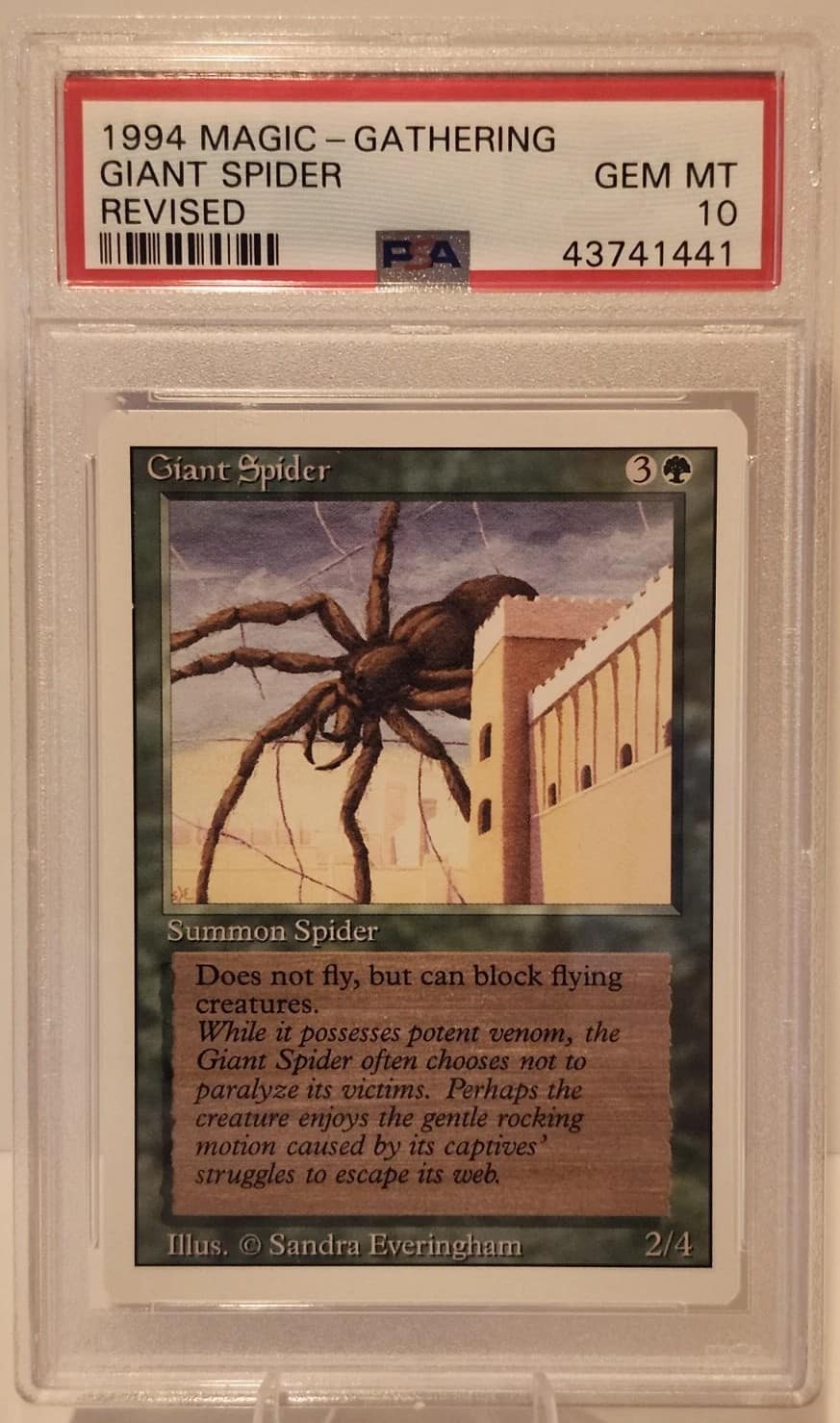 Giant Spider