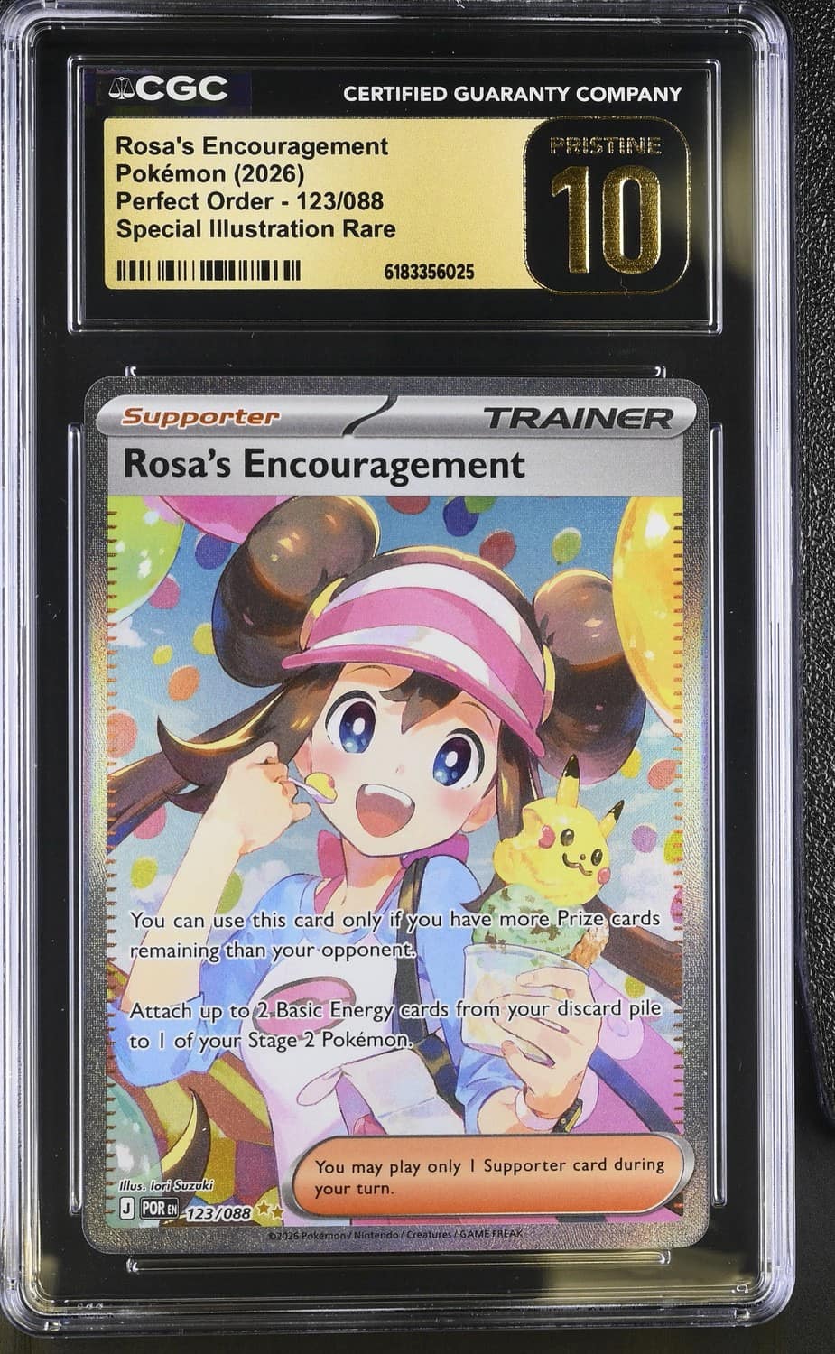 Rosa'S Encouragement