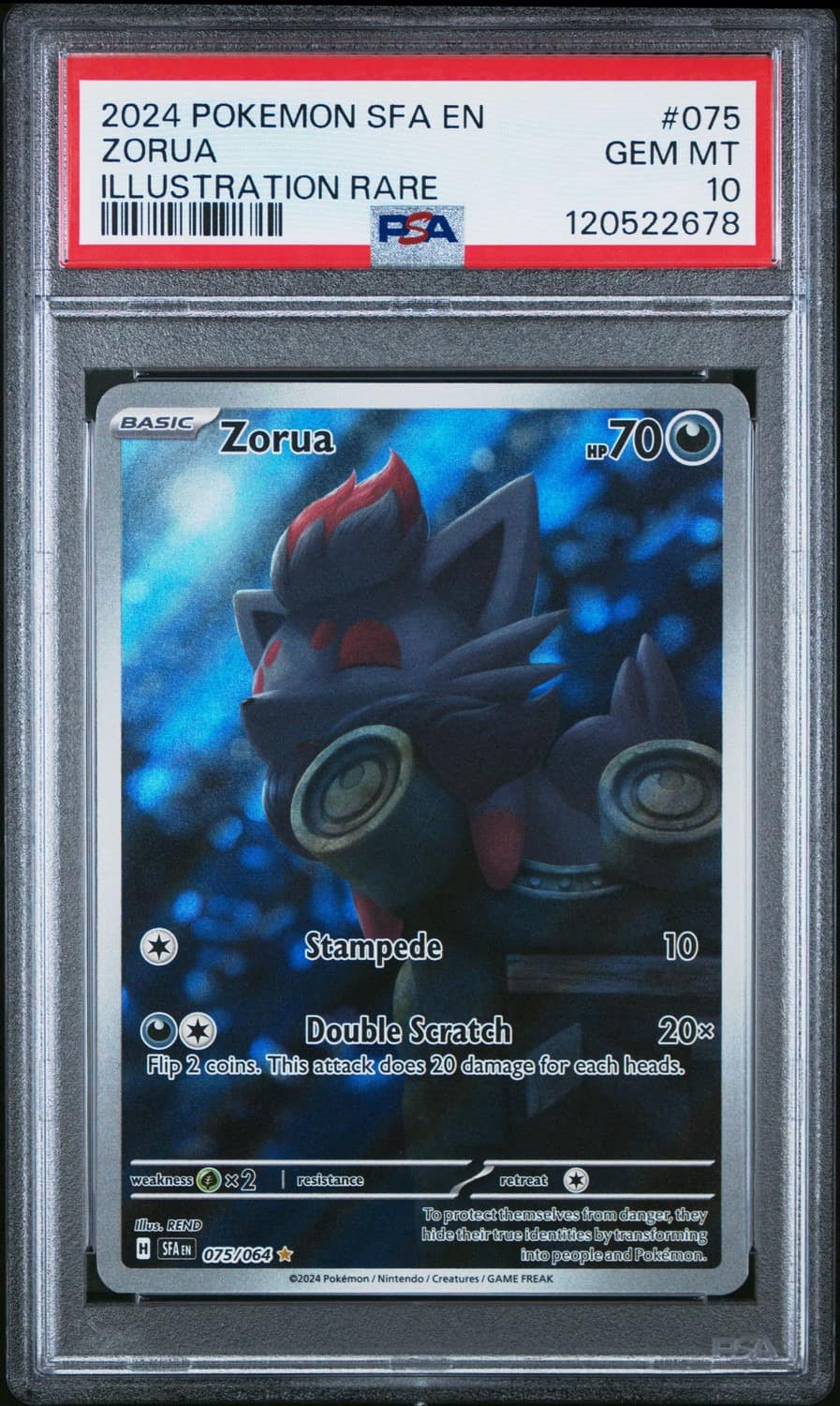 Zorua