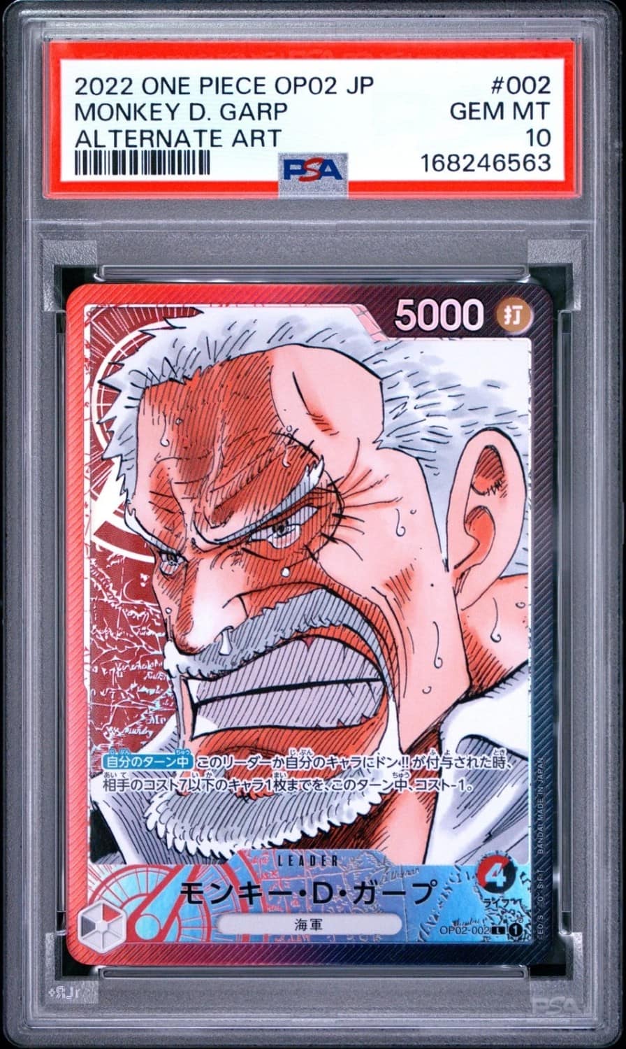 Monkey D. Garp