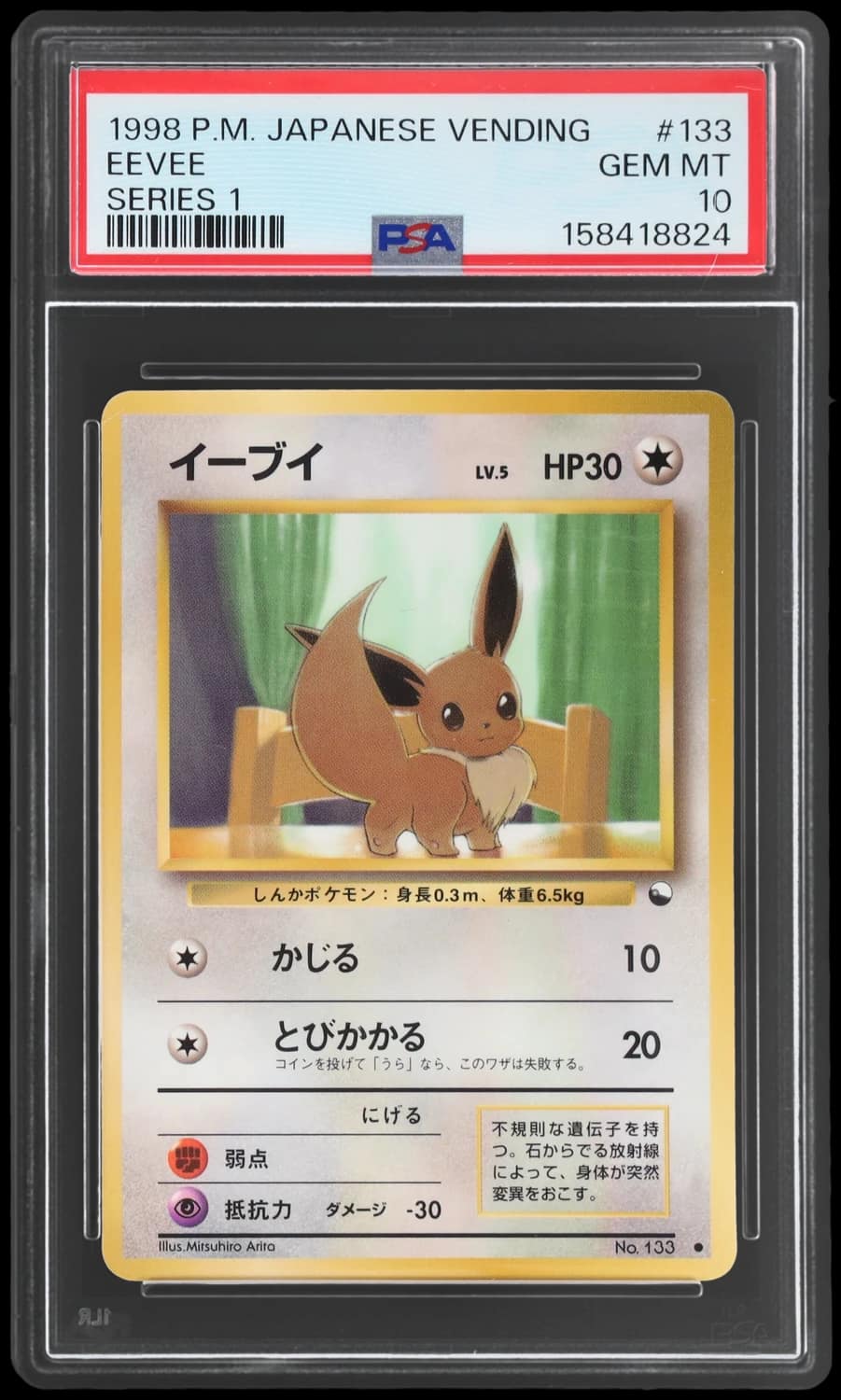 Eevee