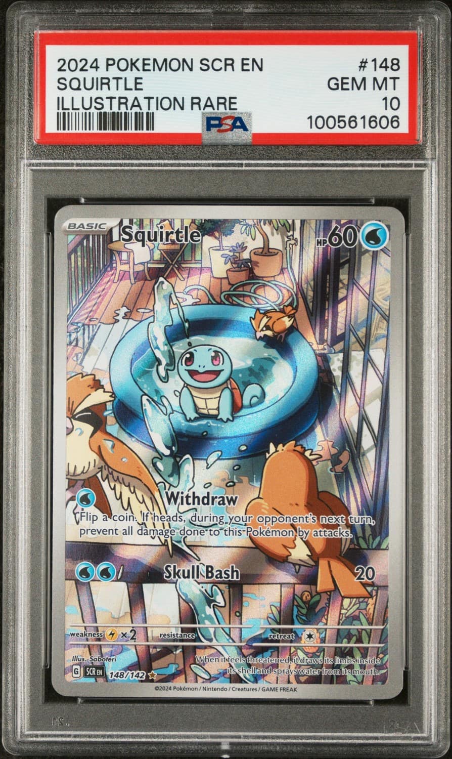 Squirtle