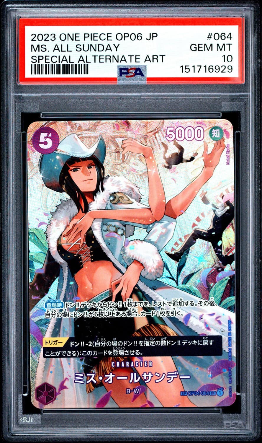 Ms. All Sunday Foil Sp