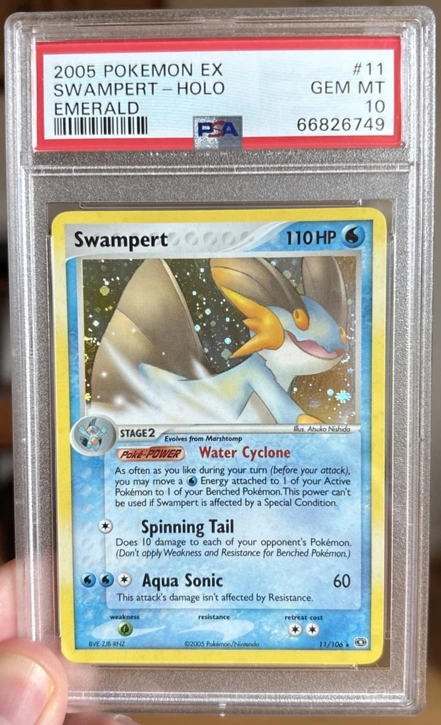 Swampert