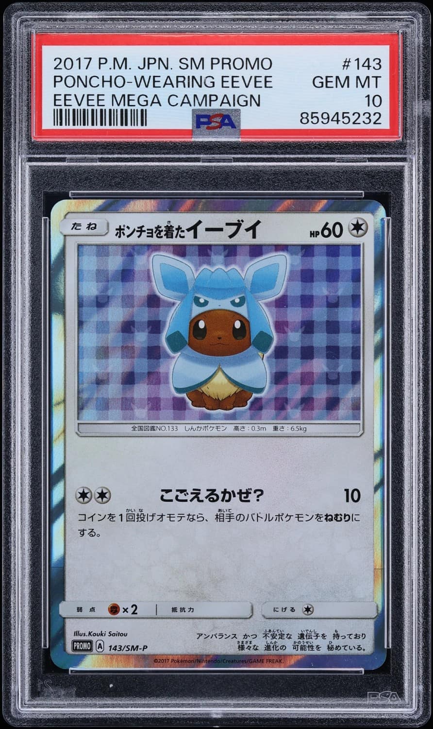 Poncho-Wearing Eevee