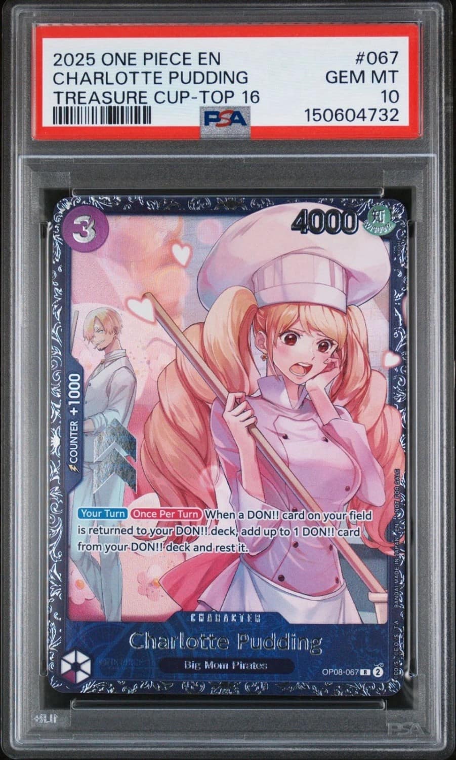 Charlotte Pudding