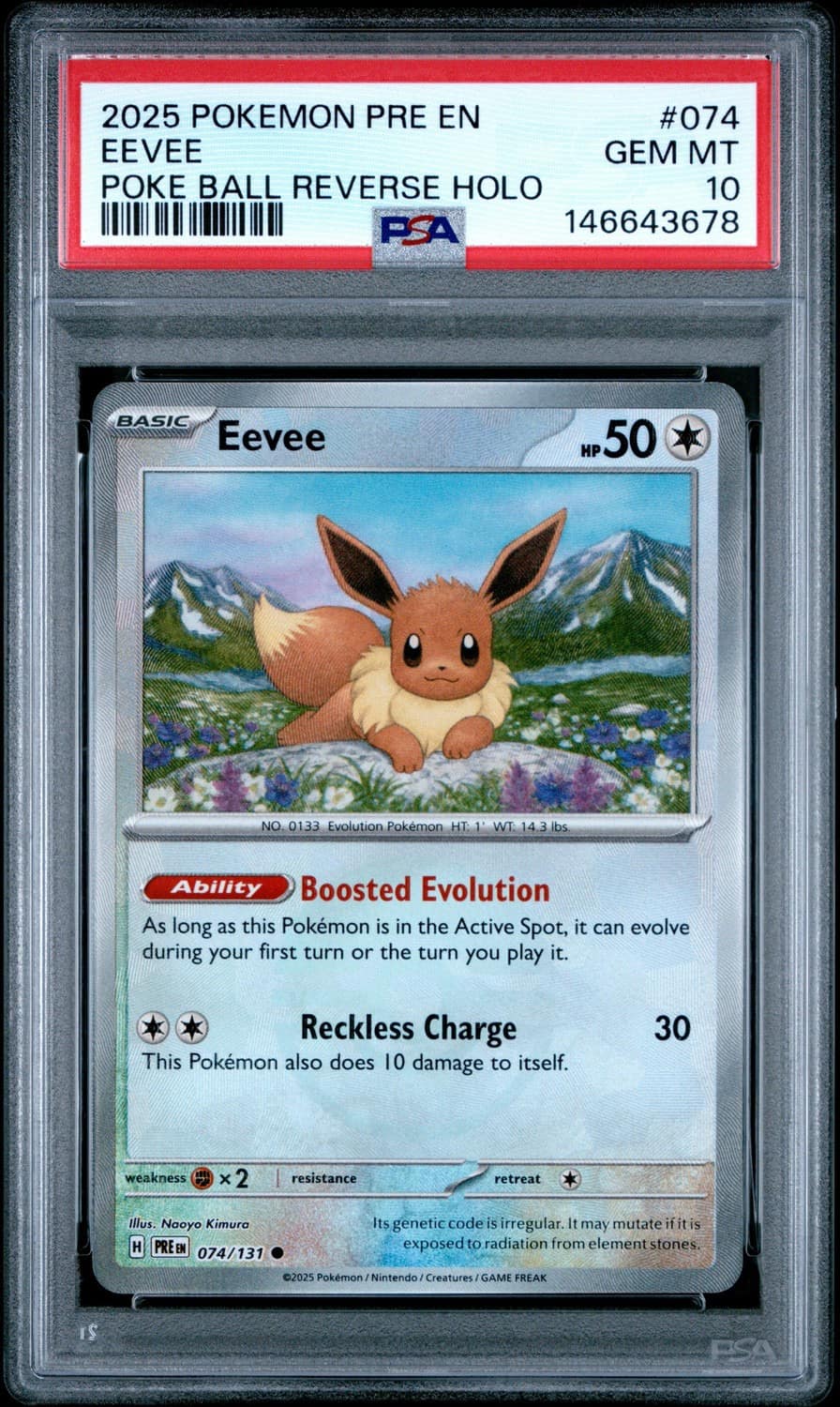 Eevee